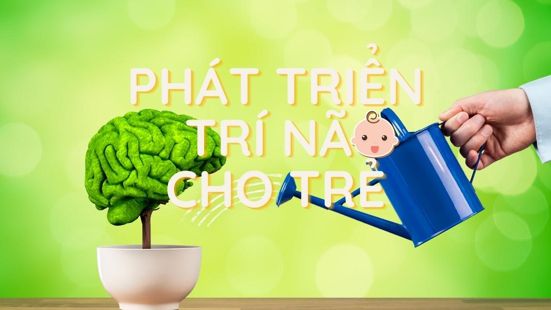 Phát triển trí não và trí thông minh ở trẻ - Elife nhà cung cấp bán buôn sữa bột, sữa non, sữa dê giá sỉ các loại toàn quốc