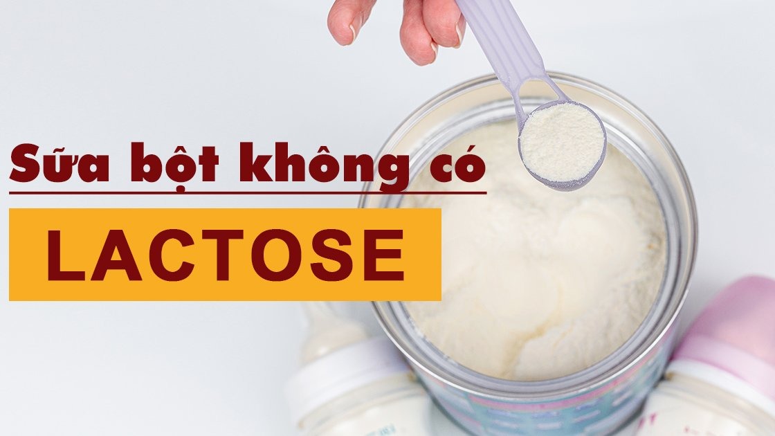 Sữa bột không có lactose